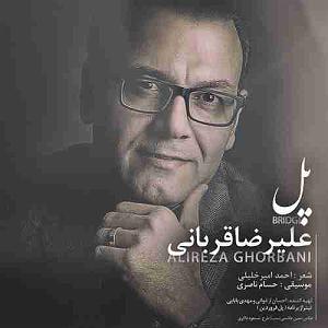 علیرضا قربانی - پل پال