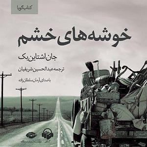 41 بستنی داغ  راه های کنترل خشم خوشه های خشم