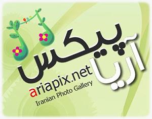 علیرضا قربانی  پرده نشین