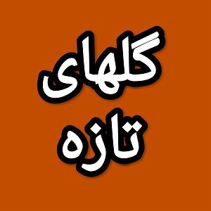 66 برنامه بستنی داغ  صرفه جویی در ازدواج گلهای تازه برنامه شماره ۶۶