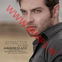 پیاله (55)؛ ای مثل لیلی دلفریب، همدرد مجنونم مکن گل دلفریب