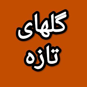 63 برنامه بستنی داغ  معنای صرفه جویی گلهای تازه برنامه شماره ۶۳