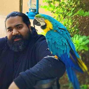 گفتی یادم تورا فراموش  گفتم نرو