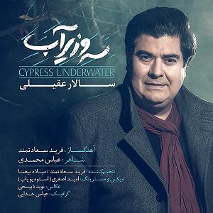 سالار عقیلی خداحافظی مکن بلودموزیک|bloodmusic سرو زیر اب