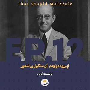 جوراب پدر و پسر بیشعور اپــیزود دوازدهم | آن ملکول بی شعور