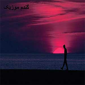 DelshooreAron Afshar Donid Remix دل بریدم از یه دنیا(remix)