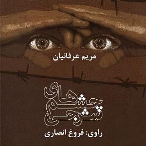 آلبوم فروغ چشم های شرجی