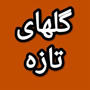 26 برنامه بستتنی داغ  پشتکار خوب گلهای تازه برنامه شماره ۲۶