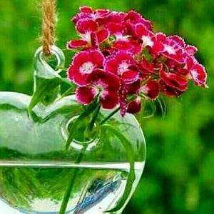 dargin بچه رمیکس