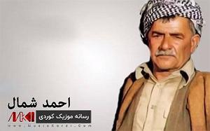 میناعلیزاده مینا