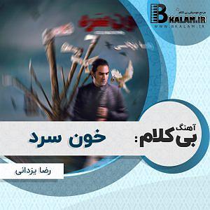 رضا یزدانی  خودزنی بی کلام خون سرد از