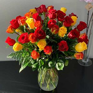 چیناره ملک زاده سنی کس سویرم