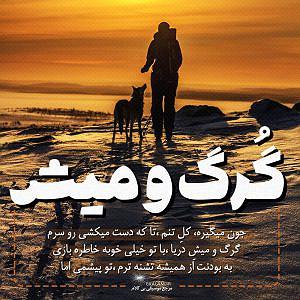 محمد معتمدی  لحظه ی گرگ و میش بی کلام گرگ و میش از