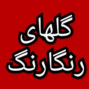 37 برنامه بستنی داغ  خشم ناگهانی گلهای رنگارنگ برنامه شماره ۳۷۰  الف