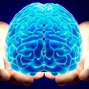 داستان مغز پوک پسته ی اخمو  مغز ؛ داستان شما 