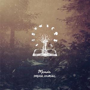 آلبوم موسیقی فولکلور چینی  Ling Nan Feng Music البوم memoir collections ii موسیقی داون تمپو رویایی از لیبل memoir music