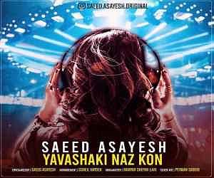 آلبوم منو رها کن یواشکی ناز کن