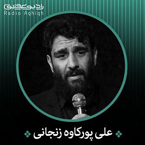 مونولوگ زیبای دل تنگ تنگ دل من