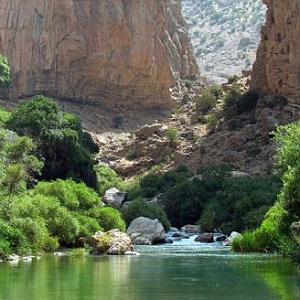 رضا یزدانی  چرا یادم نمیاد (ریمیکس) نكني يادم چرا