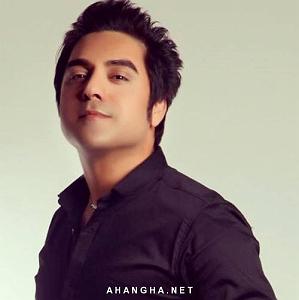 مهدی شکوهی بارون