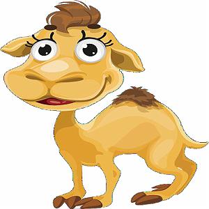 تکونی کردم شتر