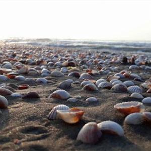 مونولوگ زیبای موج بیشعور موج بي ‌قرار