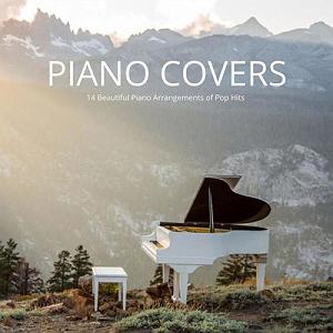 برترین های آرکتیک مانکیز piano covers تنظیم پیانو زیبای 14 قطعه از برترین های پاپ اثری از max arnald