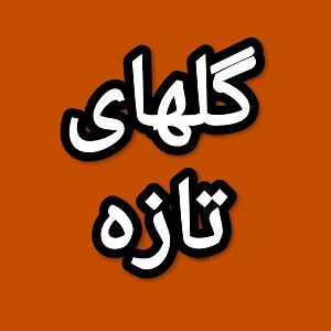 53 برنامه بستنی داغ  معنای توکل گلهای تازه برنامه شماره ۵۳