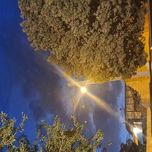 عشق دوم هنر عشق ورزیدن، فصل اول نظریه عشق، قسمت دوم