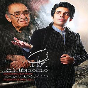 محمد معتمدی  دل تنها حرف دل