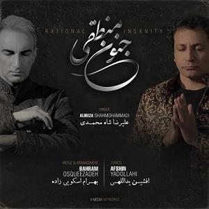 علیرضا قربانی  اهل جنون علیرضا شاه محمدی