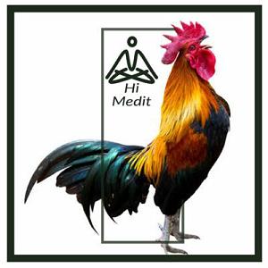 آهنگ آهنگ باور اشکان ماهری با جملات انگیزشی از بابک بهمن خواه روز دوم چالش پنج روزه مدیتیشن صبحگاهی برای افزایش انرژی همراه با فرکان...