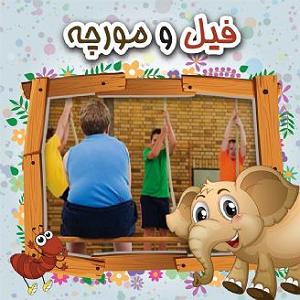 ورزش صبح ورزش مناسب هر وزن