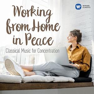 Horn Concerto  mozart Mozart Piano Concerto No. 20 in D Minor, K. 466 II. Romance