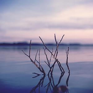 موسیقی آرامش بخش Somewhere to Belong موسیقی آرامش بخش از Somniacs