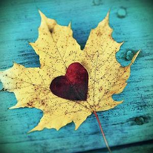 علی سورنا مستی مپ 3