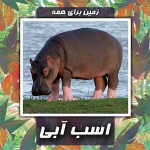 علیرضا قربانی  خانه آبی اسب آبی