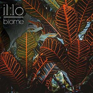 موسیقی بسیار زیبای فیلم «مالنا» اثری از Ennio Morricone موسیقی داون تمپو چیل ویو زیبای Biome اثری از il:lo