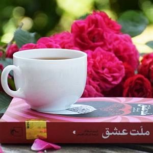 عشق دوم ملت عشق قسمت دوم اجرا مریم راعی