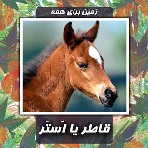 داستان انگیزه ی قاطر پیر قاطر یا اَستَر