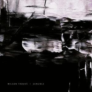 آلبوم ترکی “Büyü” اثری از “Erdinç Aksaç” البوم موسیقی بی کلام sensible اثری از wilson trouve