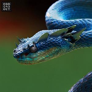 آلبوم “This Is Grace” اثری از “Pilgrim & King” Is This Trance موسیقی دنس زیبایی از Yotto