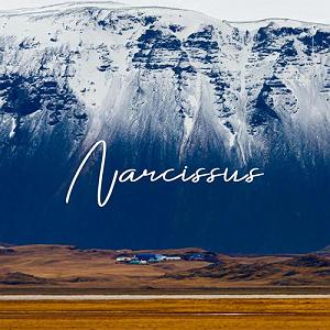 آلبوم بی کلام  Bright Future اثری از Peder B. Helland البوم موسیقی بی کلام narcissus اثری از vincent carry