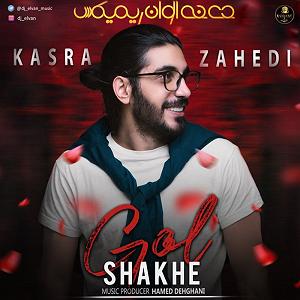 کسری زاهدی عاشقترین لیلا بلودموزیک|bloodmusic شاخه گل(دی جی الوان رمیکس)