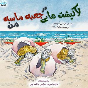 داستان لاکپشت ناقلا لاک پشت هایی در جعبه ماسه من