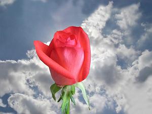 مونولوگ زیبای باد صبا نسیم باد صبا دوشم آگهى آورد