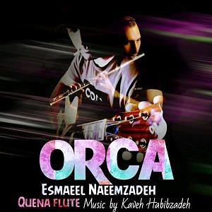اهنگ faridam از اکبر اسماعیل زاده  Orca