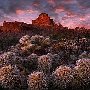 شعر ورزش شعر در مورد ارزش انسانیت و عشق