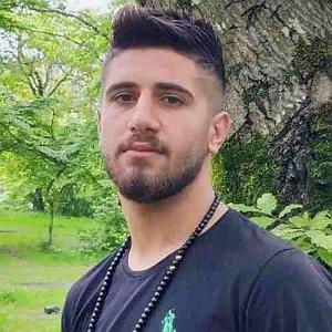 بویله سور ها برار