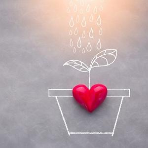 عشق دوم روانشناسی عشق قسمت دوم